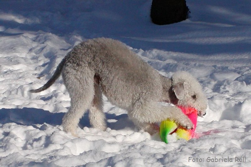 Quincy 2009-01-ß6 (3).JPG